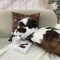 2 Packs Hidden Zippered Pillowcase Christmas Cowhide Accent 20X20Inch,Decorative Throw Custom Cotton Pillow Case Cushion Cover for Home